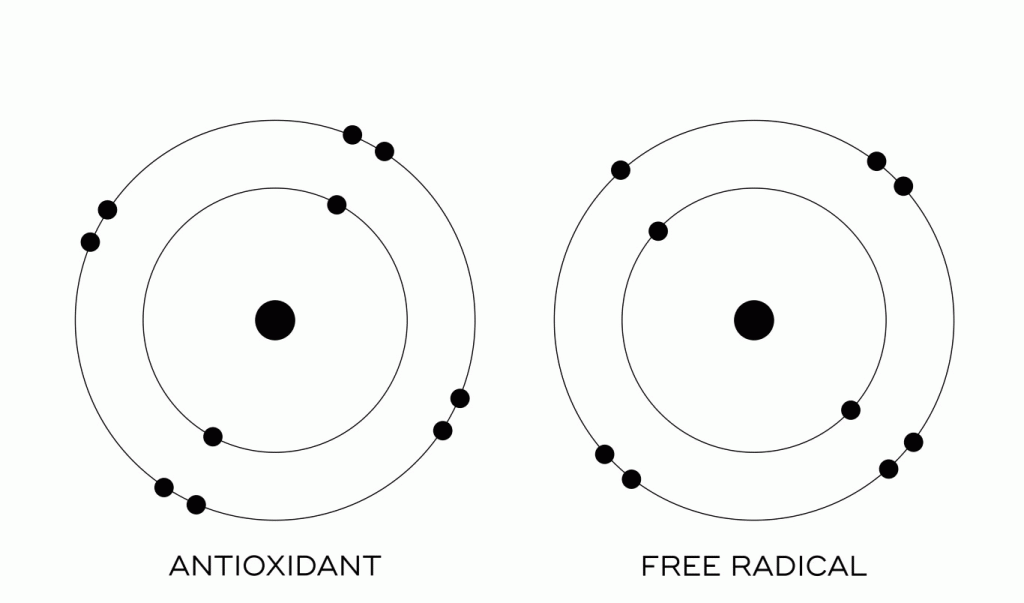 anti-oxidanten en vrije radicalen